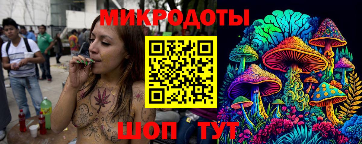 Псилоцибиновые грибы Psilocybe  Вход с VPN  Белгород 
